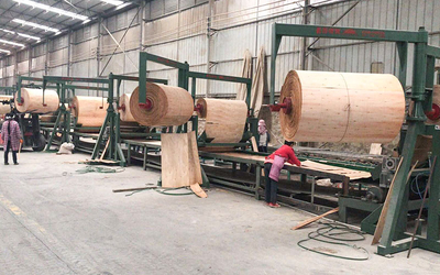 Automatic Veneer Plywood Lay-up Machine